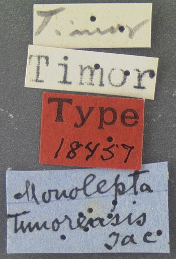 Media type: image; Entomology 18457   Aspect: labels